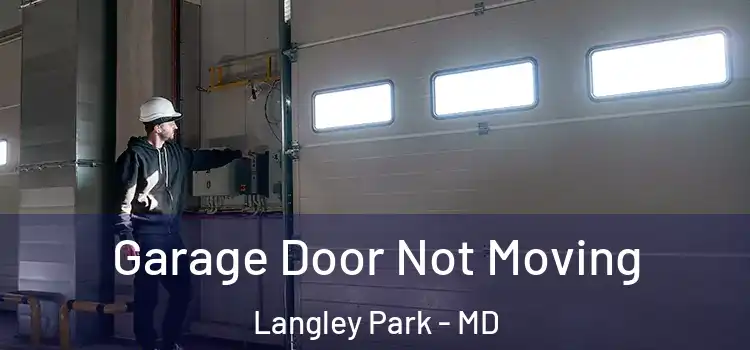  Garage Door Not Moving Langley Park - MD