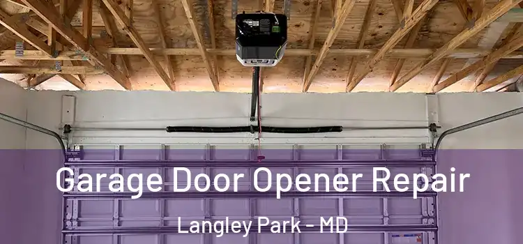  Garage Door Opener Repair Langley Park - MD
