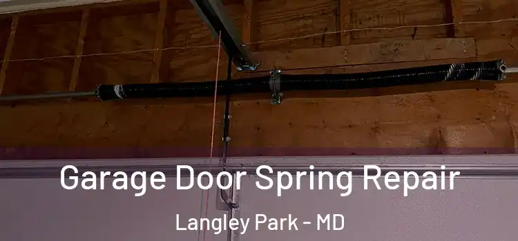 Garage Door Spring Repair Langley Park - MD