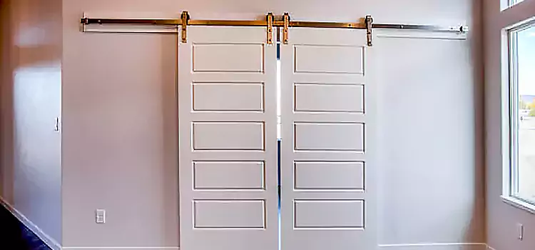 Glass Barn Door with Installation Hardware Kit Langley Park