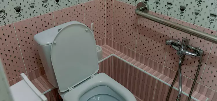 Meeting Diverse Needs With Accessible Restroom Solutions in Langley Park, MD